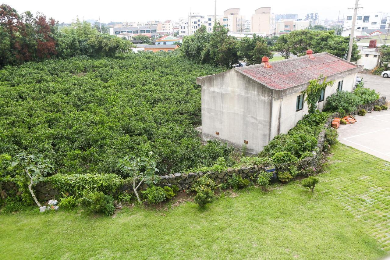 Haeneoul Holiday home *
